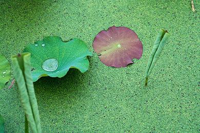 《铁拳8》与《铁拳7》画面对比视频 美女更逼真